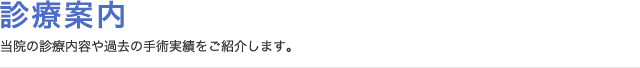 診療案内 診療案内